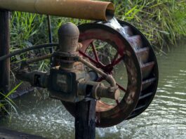 Nachhaltigkeit in Unternehmen fördern: Gründe und Strategien für eine erfolgreiche Umsetzung Nachhaltigkeit