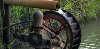 Nachhaltigkeit in Unternehmen fördern: Gründe und Strategien für eine erfolgreiche Umsetzung Nachhaltigkeit