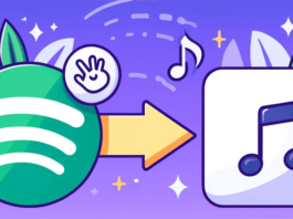 Spotify Downloader: Spotify Download als MP3 ohne Premium Spotify Download MP3