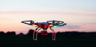 Neue und alte Trends – in diesem Jahr gibt es Kurioses sowie Alt-bekanntes Trends