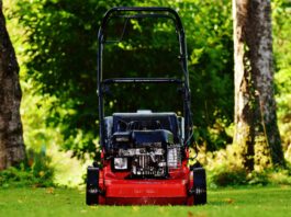 Benzin-Rasenmäher im Check: Für wen lohnt sich die kraftvolle Variante? roter Rasenmäher