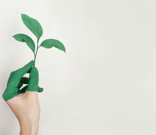 Staatliche Förderung für Wärmepumpen 2025 Hand mit grün bemalten Fingern hält eine kleine Pflanze vor weißem Hintergrund.