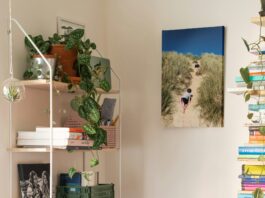 Dein Foto auf Leinwand: Ein persönliches Meisterwerk Foto auf Leinwand