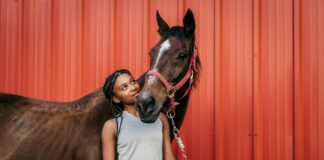 Pferdeboxen neu gedacht: mehr Platz, Licht und Luft für ein langes Pferdeleben Pferdebox