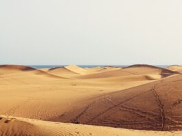 Warum Gran Canaria mehr ist als ein Winterfluchtziel Gran Canaria