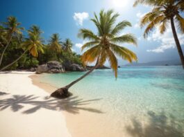 Wo ist es im Januar warm? Die besten Reiseziele für Sonnenhungrige Wo ist es im Januar warm? Die besten Reiseziele für Sonnenhungrige