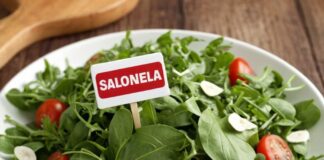 Rucola-Salat und Salmonellen: Was das RKI über die Risiken weiß Rucola-Salat und Salmonellen: Was das RKI über die Risiken weiß