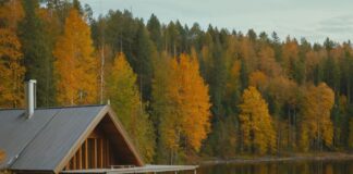 Finnland in der Landessprache: Einblicke in die Kultur und Identität der Finnen Finnland in der Landessprache: Einblicke in die Kultur und Identität der Finnen