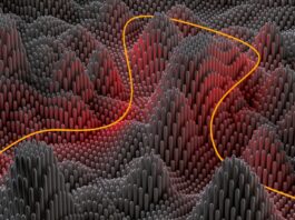 Abos auf Abruf: Wie Ultra-Flexibilität den Markt verändert Ultra-Flexibilität