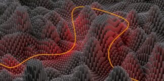 Abos auf Abruf: Wie Ultra-Flexibilität den Markt verändert Ultra-Flexibilität