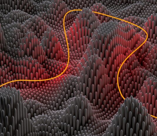 Abos auf Abruf: Wie Ultra-Flexibilität den Markt verändert Ultra-Flexibilität