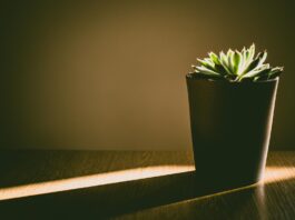 Minimalistisch leben – warum weniger Besitz mehr Freiheit bedeutet Minimalismus