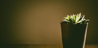 Minimalistisch leben – warum weniger Besitz mehr Freiheit bedeutet Minimalismus